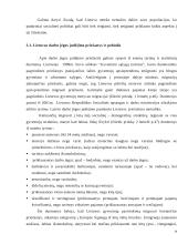 Darbo rinkos vaidmuo 14 puslapis