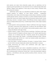 Darbo rinkos vaidmuo 16 puslapis