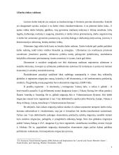 Darbo rinkos vaidmuo 4 puslapis
