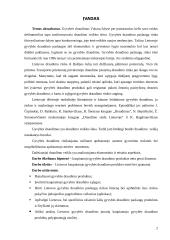 Pagrindiniai gyvybės draudimo principai 2 puslapis