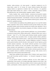 Pagrindiniai gyvybės draudimo principai 11 puslapis