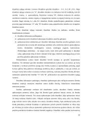 Pagrindiniai gyvybės draudimo principai 20 puslapis