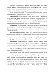 Pagrindiniai gyvybės draudimo principai 9 puslapis