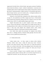 Rizika finansų srityje 11 puslapis