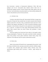 Rizika finansų srityje 13 puslapis