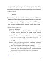 Rizika finansų srityje 17 puslapis