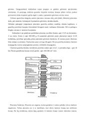 Vaisiaus dangalai 11 puslapis