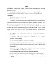 Kredito draudimas 2 puslapis