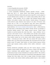 Kredito draudimas 11 puslapis