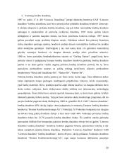 Kredito draudimas 13 puslapis