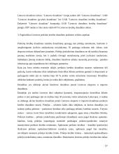 Kredito draudimas 17 puslapis