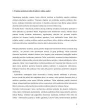 Kredito draudimas 4 puslapis