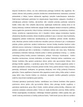 Kredito draudimas 5 puslapis