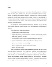 Prekinis kredito draudimas 2 puslapis