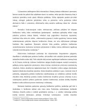 Prekinis kredito draudimas 11 puslapis