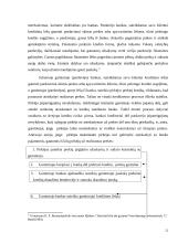 Prekinis kredito draudimas 12 puslapis