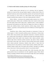 Prekinis kredito draudimas 17 puslapis