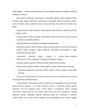 Prekinis kredito draudimas 3 puslapis