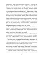 Draudimo brokerių veikla 13 puslapis