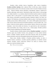 Draudimo brokerių veikla 9 puslapis