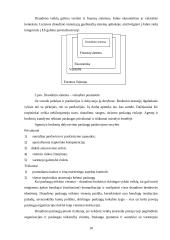 Draudimo brokerių veikla 10 puslapis