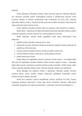 Draudimo veikla  2 puslapis