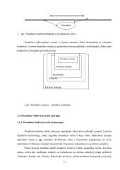 Draudimo veikla  11 puslapis