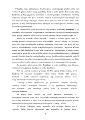 Draudimo veikla  4 puslapis