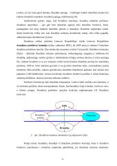 Draudimo brokeriai 9 puslapis