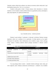 Draudimo brokeriai 10 puslapis