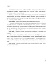 Draudimo interesas 2 puslapis