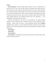 Draudimo žemės ūkyje raida 2 puslapis