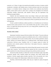 Draudimo žemės ūkyje raida 5 puslapis