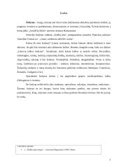 Žodynai ir jų istorija 3 puslapis
