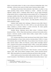Žodynai ir jų istorija 7 puslapis
