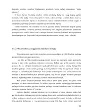 Gyvybės draudimo paslaugos 11 puslapis