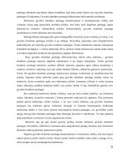 Gyvybės draudimo paslaugos 13 puslapis