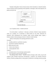 Gyvybės draudimo paslaugos 17 puslapis