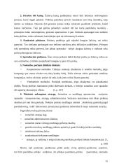 „Šaldymo technologijos“ prekių  pirkimo sistemos vertinimas 15 puslapis