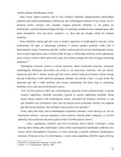 Socialinio ir privataus draudimo sąveika 11 puslapis