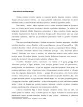 Socialinio ir privataus draudimo sąveika 17 puslapis