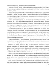 Socialinio ir privataus draudimo sąveika 8 puslapis