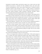 Socialinio ir privataus draudimo sąveika 10 puslapis