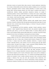 Elektroninių sutarčių reglamentavimas 19 puslapis