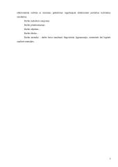 Elektroninių sutarčių reglamentavimas 3 puslapis