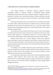 Elektroninių sutarčių reglamentavimas 4 puslapis