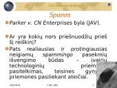 E-komercijos direktyva   13 puslapis