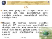 E-komercijos direktyva   18 puslapis