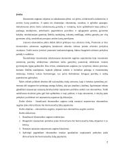 Ekonomikos augimas ir nepastovus ekonominis aktyvumas 2 puslapis