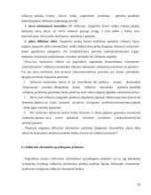 Ekonomikos augimas ir nepastovus ekonominis aktyvumas 13 puslapis